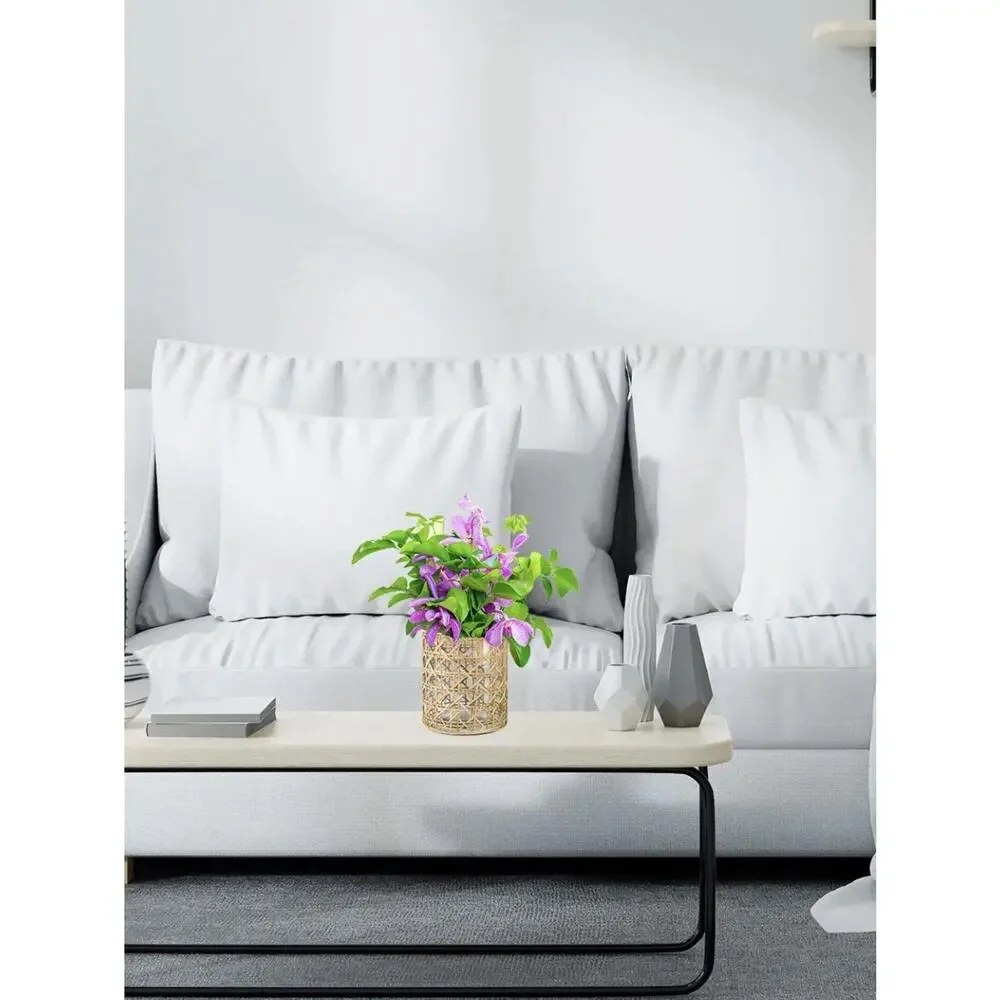 SERENE SPACES LIVING SAIGON CANE WRAPPED GLASS HURRICANE COLLECTION